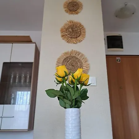 Dujma Appartement *